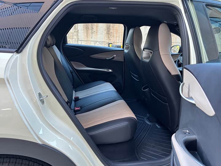 BYD Dolphin 2025 2025款 420km 自由版