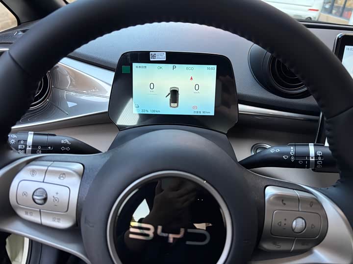 BYD Dolphin 2025 2025款 420km 自由版