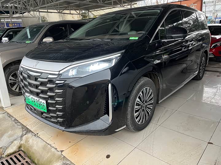 BYD Xia 2025 2025款 DM-i 1.5T 100km 超越型