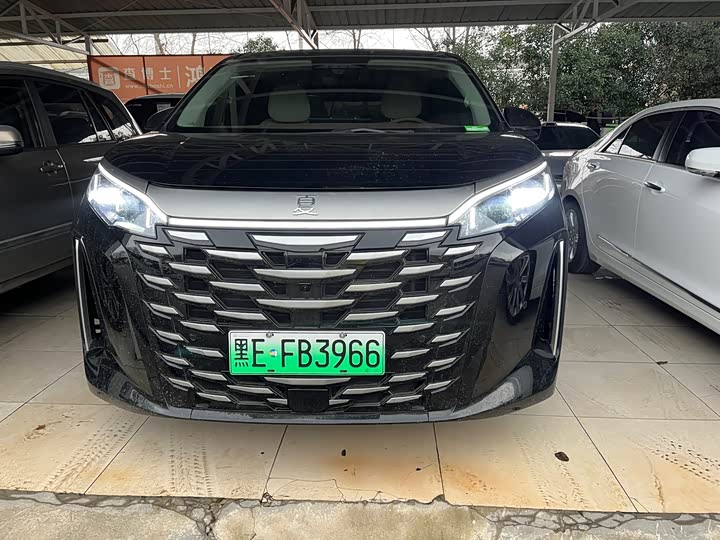 BYD Xia 2025 2025款 DM-i 1.5T 100km 超越型