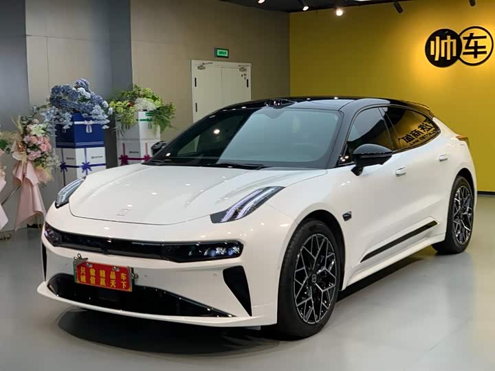 Zeekr 001 2025 2025款 WE版 100kWh 后驱