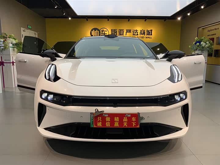 Zeekr 001 2025 2025款 WE版 100kWh 后驱