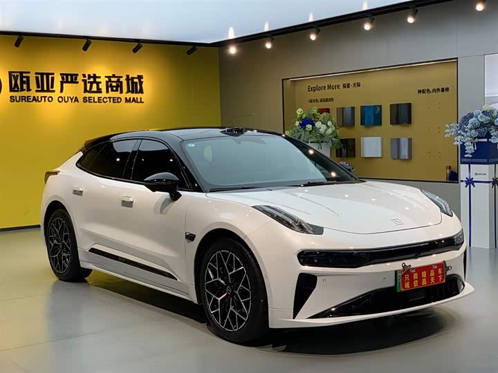 Zeekr 001 2025 2025款 WE版 100kWh 后驱