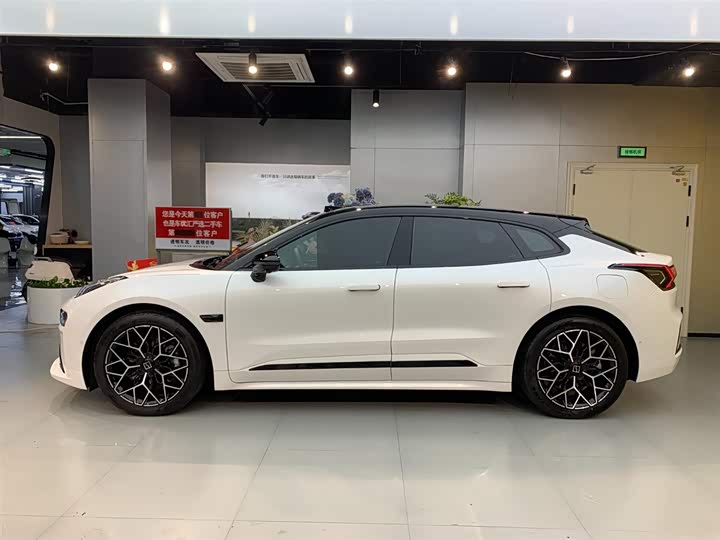 Zeekr 001 2025 2025款 WE版 100kWh 后驱