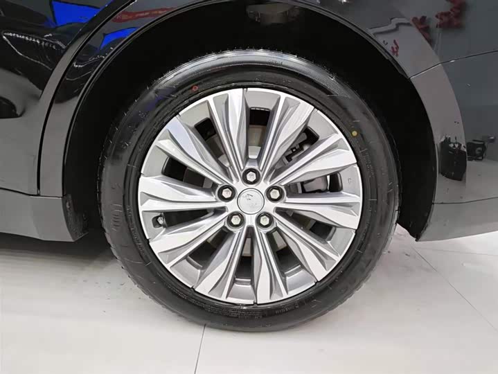 Hongqi E-QM5 2025 2025款 610km PLUS