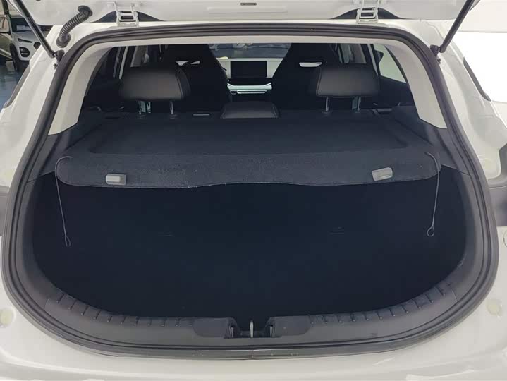 Geely Emgrand GS 2022 2022款 1.4T CVT跨界玩家版