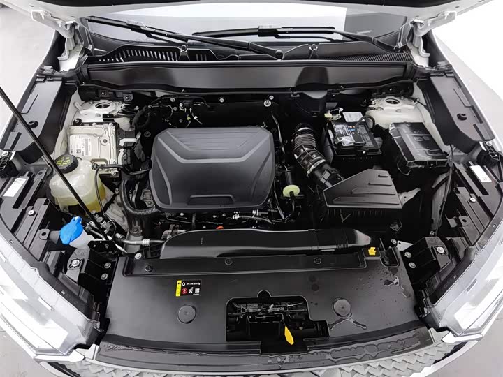 Haval H6 2024 2024款 1.5T 两驱经典版