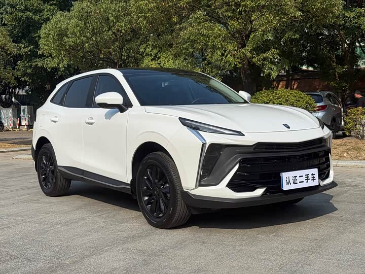 Dongfeng Forthing T5 EVO 2024 2024款 狂飚版 1.5TD DCT定制款