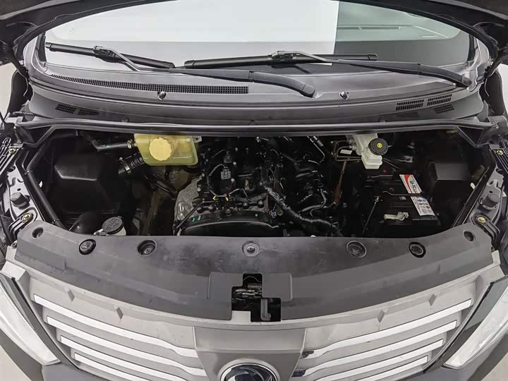 Dongfeng Forthing Lingzhi Plus 2021 2021款 2.0L 手动豪华型 7座