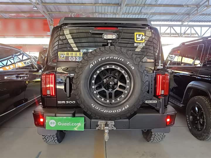 Tank 300 2024 2024款 2.0T 征服者