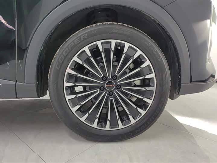 Exeed RX C-DM Hybrid 2024 2024款 1.5T 长续航Pro