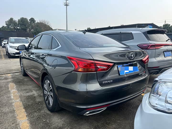 Changan Raeton CC 2021 2021款 蓝鲸版 1.5T DCT精英型