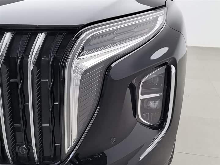 Hongqi HS7 Hybrid 2024 2024款 2.0T PHEV 四驱旗畅版 7座