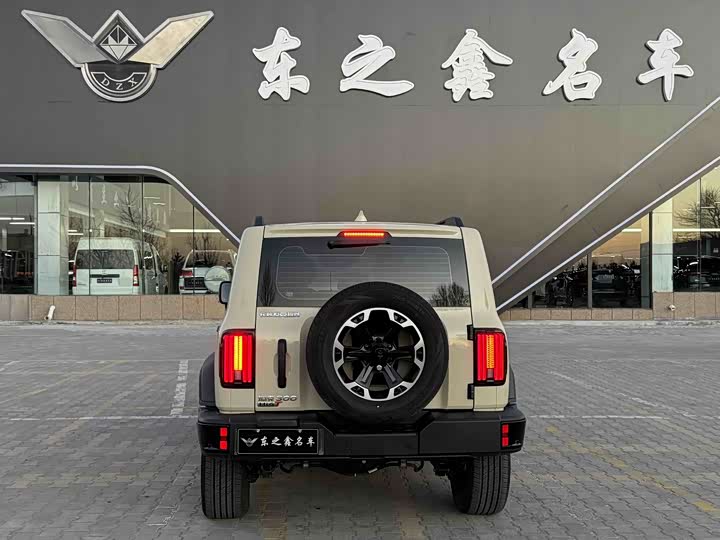 Tank 300 Hybrid 2025 2025款 Hi4-T 37.1kWh