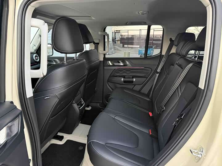 Tank 300 Hybrid 2025 2025款 Hi4-T 37.1kWh