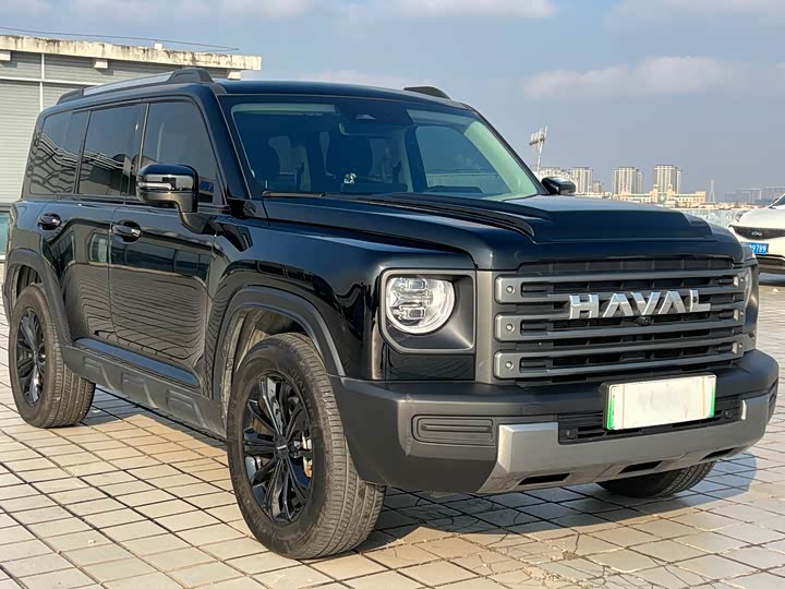 Haval Raptor Hybrid 2024 2024款 Hi4 145 Pro