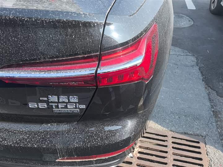 Audi A6L Hybrid 2020 2020款 55 TFSI e quattro