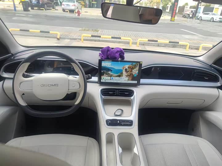 Geely Galaxy Geome 2025 2025款 310km 青春版