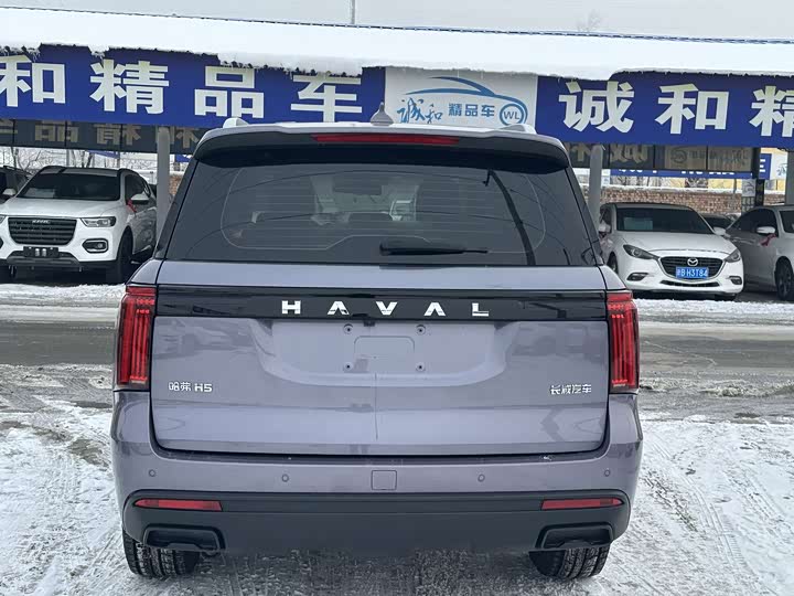 Haval H5 2023 2023款 2.0T自动四驱领英 汽油