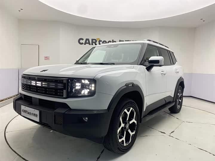 Jetour Shanhai T1 2024 2024款 150km 向海