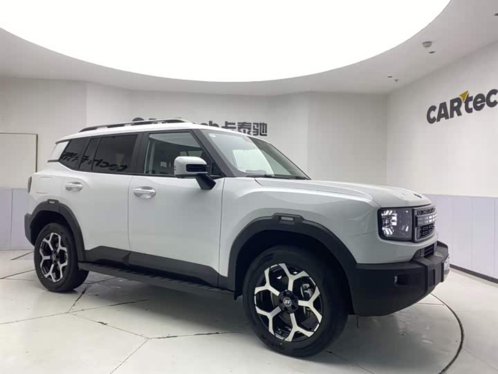 Jetour Shanhai T1 2024 2024款 150km 向海