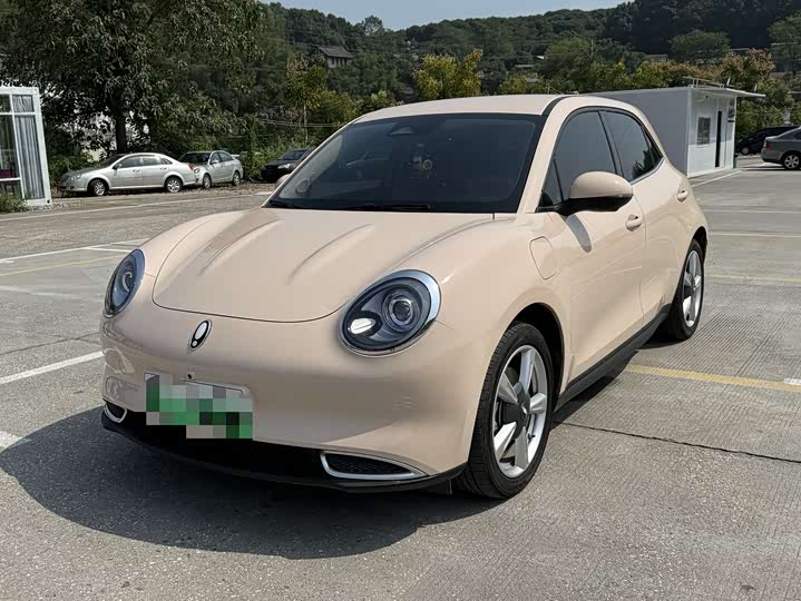 Ora Good Cat (03) 2023 2023款 401km标准续航 豪华型 三元锂