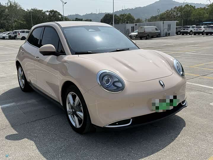 Ora Good Cat (03) 2023 2023款 401km标准续航 豪华型 三元锂