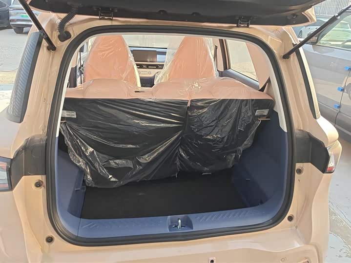 Chery QQ 2025 2025款 305km 舒享型