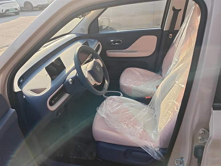 Chery QQ 2025 2025款 305km 舒享型