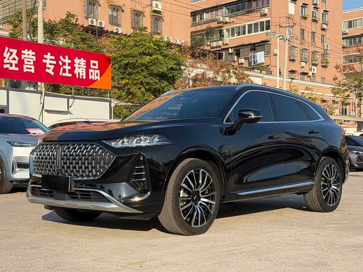 Wey Mocha 2021 2021款 2.0T 四驱特醇版