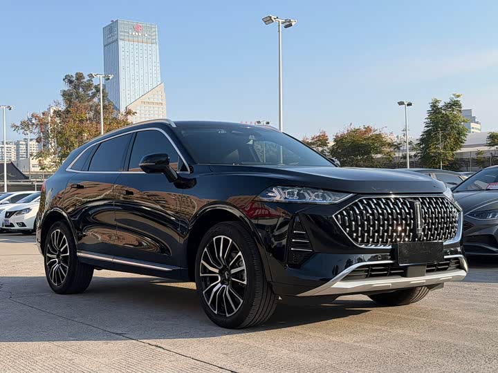 Wey Mocha 2021 2021款 2.0T 四驱特醇版