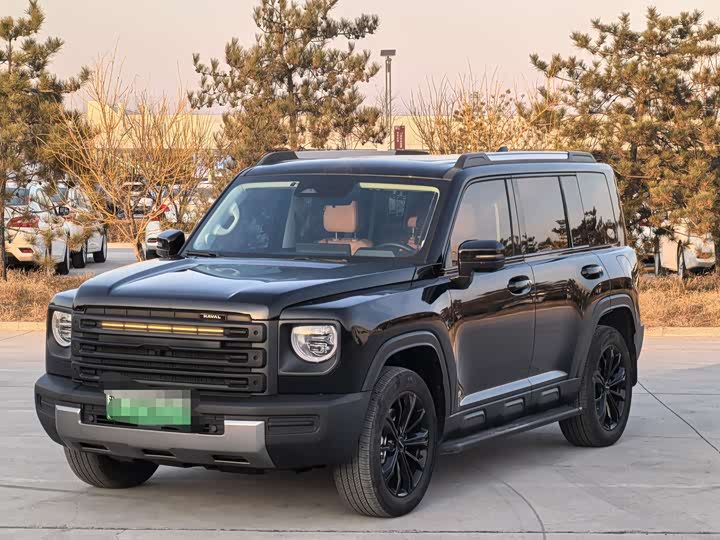 Haval Raptor Hybrid 2024 2024款 Hi4 145 Pro