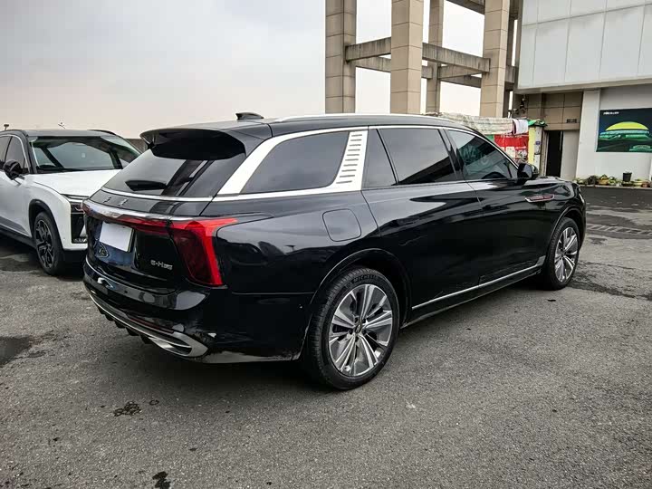 Hongqi E-HS9 2022 2022款 690km 旗享版 六座