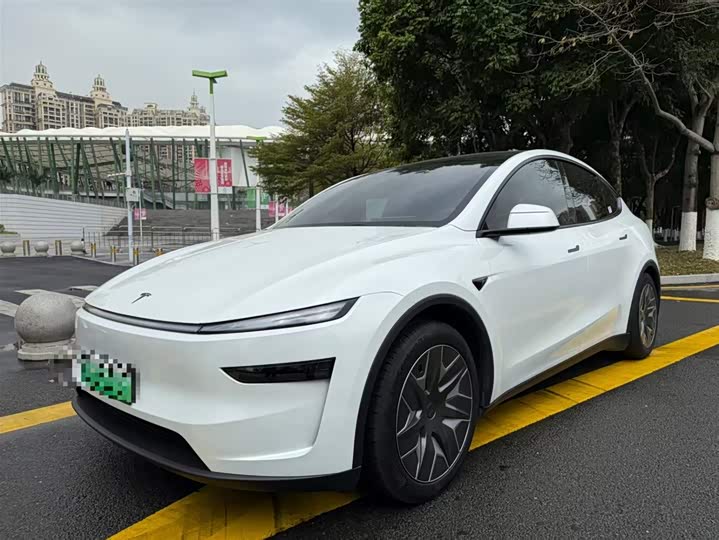 Tesla Model Y 2025 2025款 长续航全轮驱动版