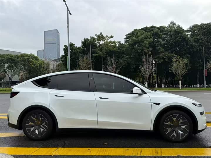 Tesla Model Y 2025 2025款 长续航全轮驱动版