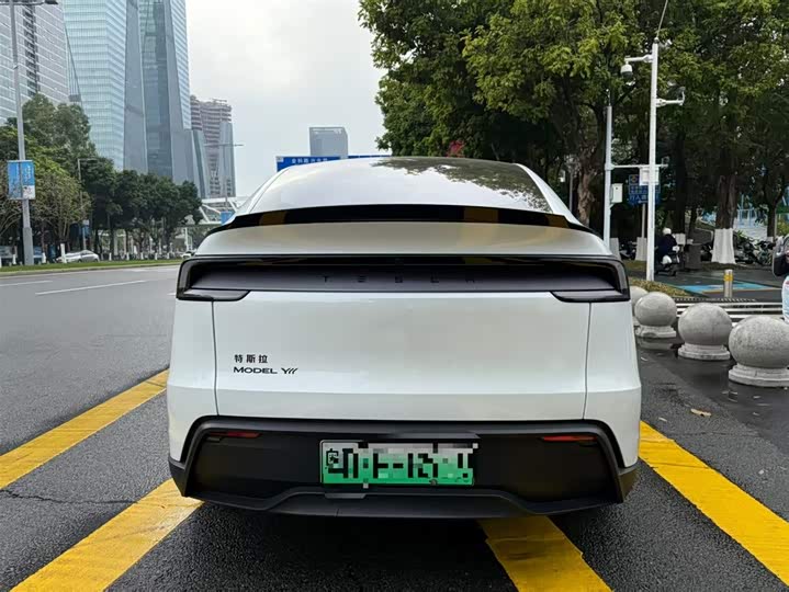 Tesla Model Y 2025 2025款 长续航全轮驱动版
