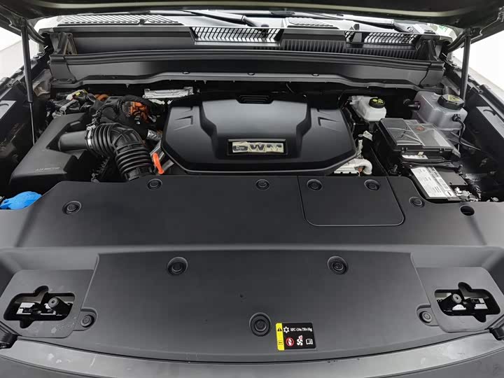 Tank 400 Hybrid 2024 2024款 Hi4-T 越野版