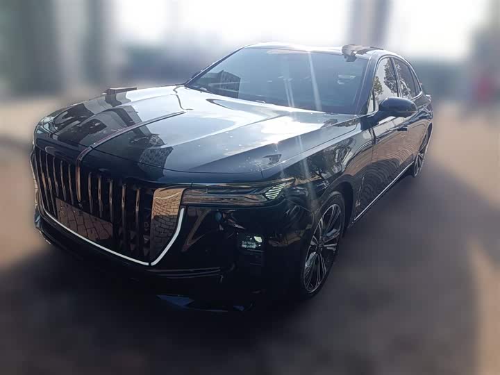 Hongqi H9 2024 2024款 2.0T 旗畅 私享风尚版