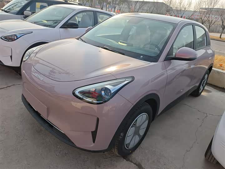 Geely Galaxy Geome 2026 2026款 310km 青春版