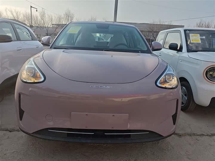 Geely Galaxy Geome 2026 2026款 310km 青春版