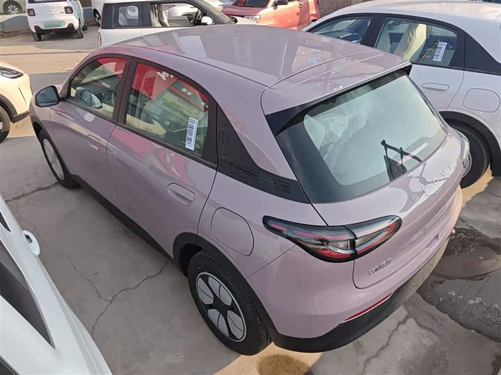Geely Galaxy Geome 2026 2026款 310km 青春版