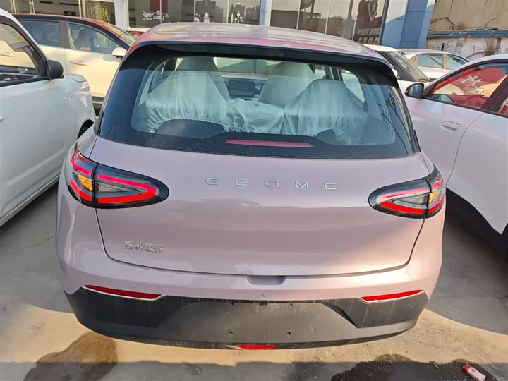 Geely Galaxy Geome 2026 2026款 310km 青春版