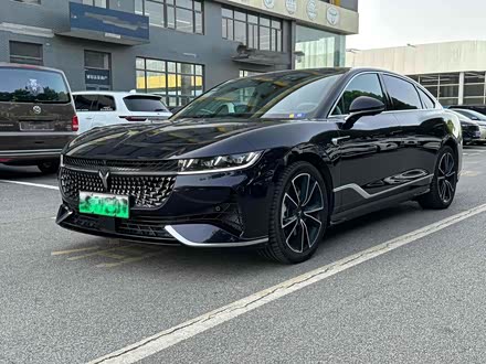 Voyah Passion 2024 2024款 PHEV 四驱超长续航旗舰版