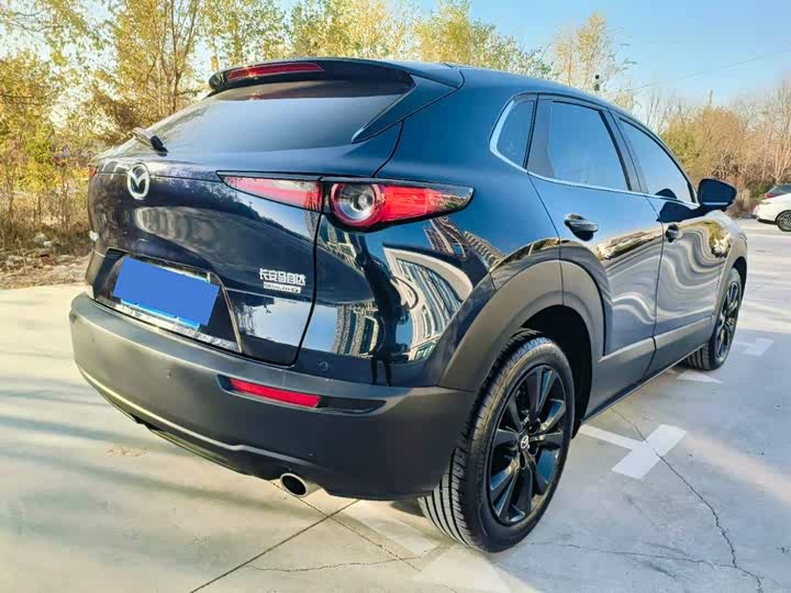 Mazda CX-30 2022 2022款 2.0L 自动嘉悦型黑曜版