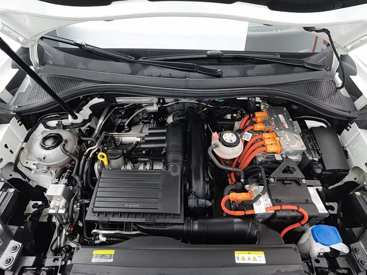 Volkswagen Tayron GTE Hybrid 2023 2023款 280TSI 豪华Plus进阶版