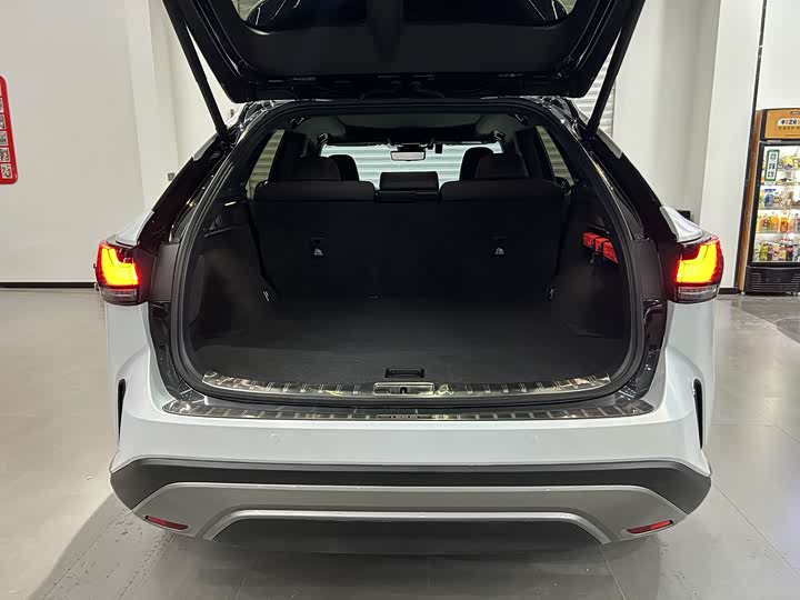 Lexus RX Hybrid 2023 2023款 450h+ 四驱畅享版