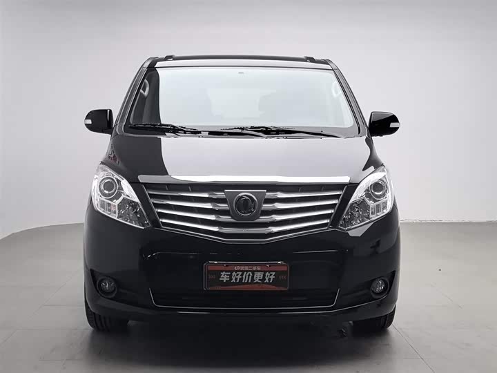 Dongfeng Forthing Lingzhi Plus 2021 2021款 2.0L 手动豪华型 7座