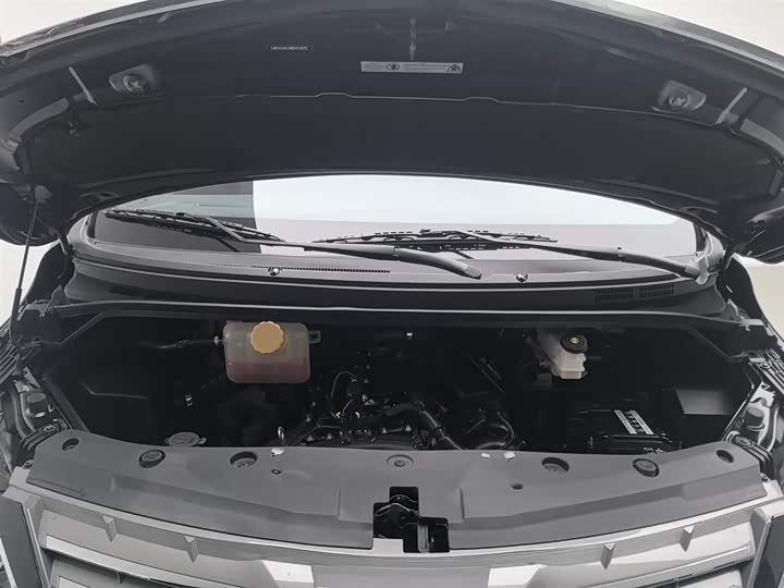 Dongfeng Forthing Lingzhi Plus 2021 2021款 2.0L 手动豪华型 7座