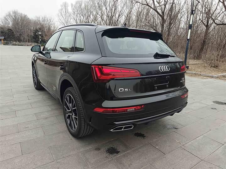 Audi Q5L 2026 2026款 45周年典藏版 45 TFSI 豪华动感型