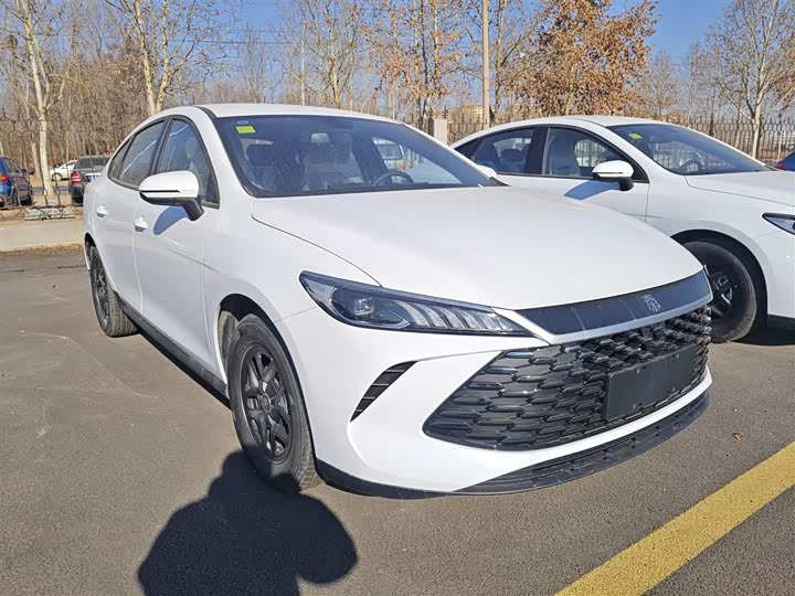 BYD Qin Plus 2025 2025款 DM-i 智驾版 55KM领先型